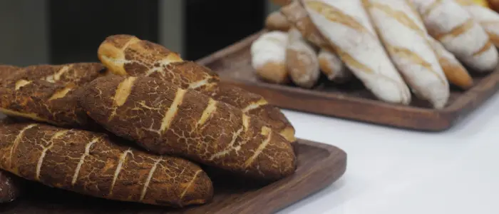 Sourdough Bread: The Best Beginner’s Guide for Homebaking